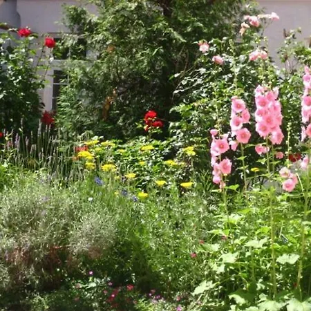 Freundliches Apartment Mit Innenhof-Garten Vienna Exterior photo