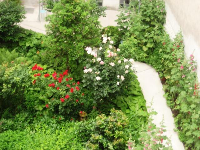 Appartement Freundliches Mit Innenhof-garten