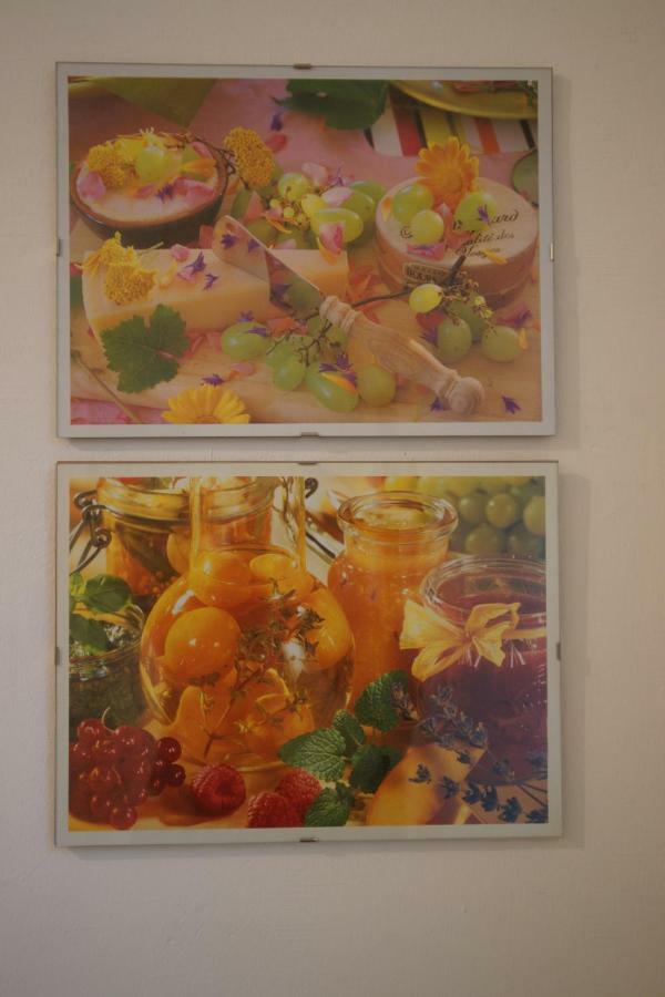 Freundliches Mit Innenhof-garten Appartement Wenen