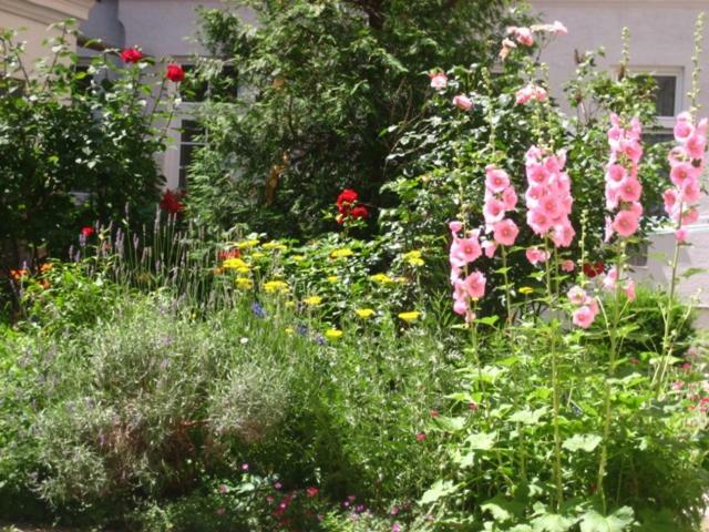 Appartement Freundliches Mit Innenhof-garten